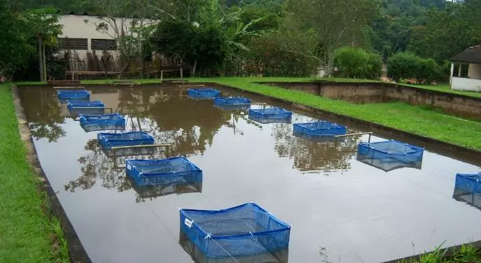 INSTITUTO DE PESCA DE SP ][  Expertise em sustentabilidade hídrica em foco na COP30